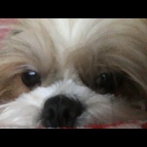 Meet your Posher, Brande